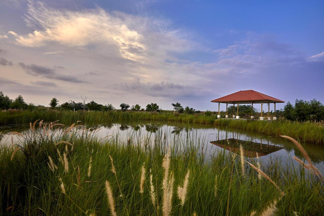 Blackbuck Safari Lodge Velavadar Bavliari 外观 照片