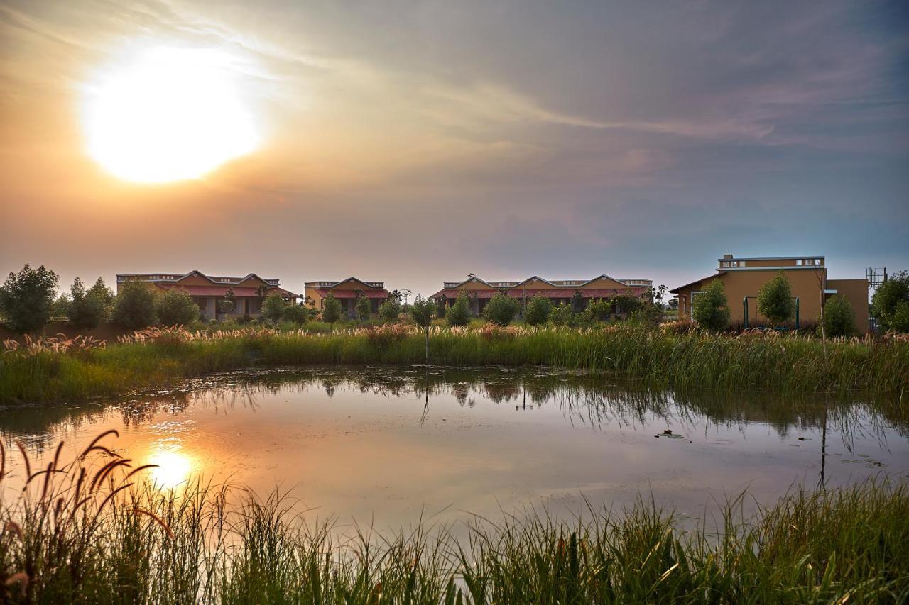 Blackbuck Safari Lodge Velavadar Bavliari 外观 照片
