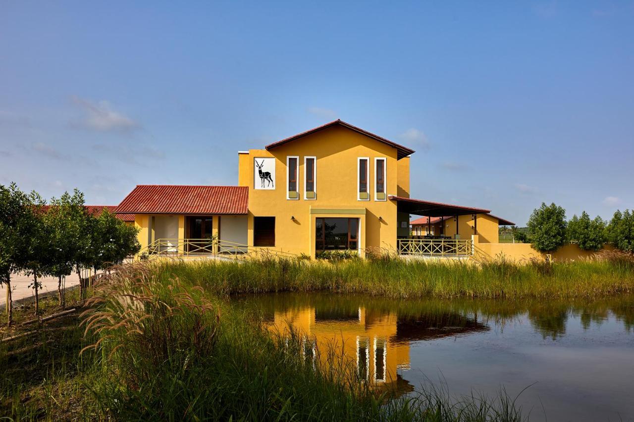 Blackbuck Safari Lodge Velavadar Bavliari 外观 照片