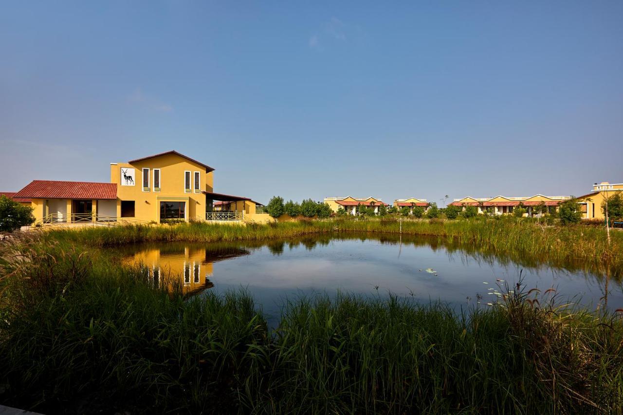 Blackbuck Safari Lodge Velavadar Bavliari 外观 照片