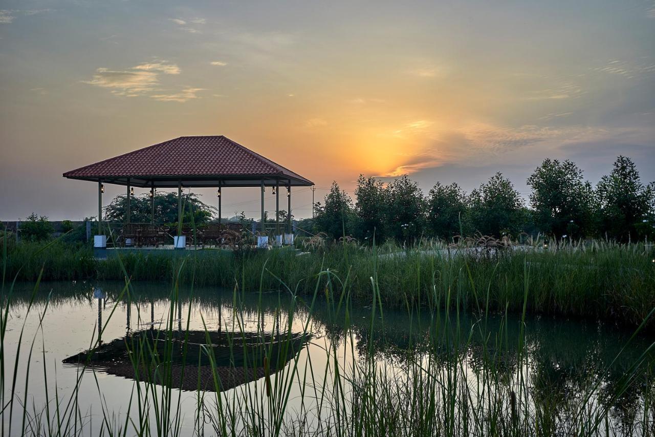 Blackbuck Safari Lodge Velavadar Bavliari 外观 照片