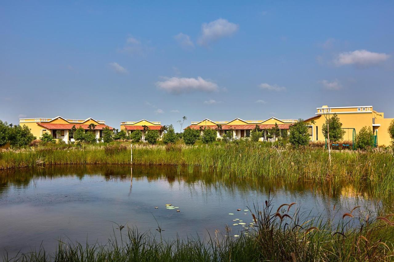 Blackbuck Safari Lodge Velavadar Bavliari 外观 照片
